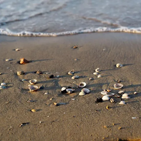 Trendy Seafront With Terrace Lägenhet *