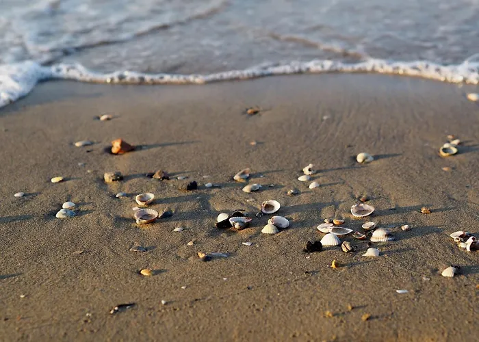 Trendy Seafront With Terrace アパート *